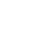Digital Dome 
